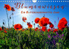 Buchcover Blumenwiesen – ein blütenzauberhaftes Jahr (Wandkalender 2022 DIN A4 quer)