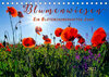 Buchcover Blumenwiesen – ein blütenzauberhaftes Jahr (Tischkalender 2022 DIN A5 quer)