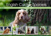 Buchcover English Cocker Spaniels - Ein Spaziergang im Park (Wandkalender 2022 DIN A2 quer)