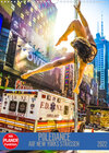 Buchcover Poledance auf New Yorks Straßen (Wandkalender 2022 DIN A3 hoch)