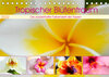 Buchcover Tropischer Blütentraum (Tischkalender 2022 DIN A5 quer)