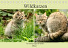 Buchcover Wildkatzen - Die lautlosen Jäger des Waldes (Tischkalender 2022 DIN A5 quer)