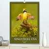 Buchcover Singvögel USA (Premium, hochwertiger DIN A2 Wandkalender 2022, Kunstdruck in Hochglanz)