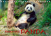 Buchcover Niedlicher Panda (Tischkalender 2022 DIN A5 quer)