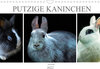 Buchcover Putzige Kaninchen - Artwork (Wandkalender 2022 DIN A4 quer)
