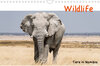 Buchcover Wildlife - Tiere in Namibia (Wandkalender 2022 DIN A4 quer)