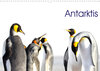 Buchcover Antarktis - viaje.ch (Wandkalender 2022 DIN A3 quer)
