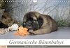 Buchcover Germanische Bärenbabys (Wandkalender 2022 DIN A4 quer)