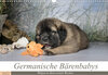Buchcover Germanische Bärenbabys (Wandkalender 2022 DIN A3 quer)