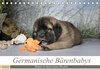 Buchcover Germanische Bärenbabys (Tischkalender 2022 DIN A5 quer)