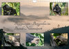 Buchcover Begegnungen - Berggorillas im Bwindi Nationalpark (Wandkalender 2022 DIN A4 quer)