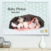 Buchcover Baby Pfoten (Premium, hochwertiger DIN A2 Wandkalender 2022, Kunstdruck in Hochglanz)