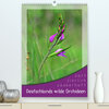 Buchcover Deutschlands wilde Orchideen (Premium, hochwertiger DIN A2 Wandkalender 2022, Kunstdruck in Hochglanz)
