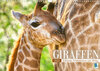 Buchcover Giraffen: Schlanke Schönheiten aus Afrika (Wandkalender 2022 DIN A3 quer)