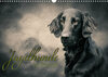 Buchcover Jagdhunde im Portrait (Wandkalender 2022 DIN A3 quer)