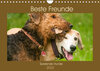 Buchcover Beste Freunde - Spielende Hunde (Wandkalender 2022 DIN A4 quer)