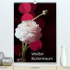 Buchcover Weißer Blütentraum (Premium, hochwertiger DIN A2 Wandkalender 2022, Kunstdruck in Hochglanz)