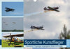 Buchcover Sportliche Kunstflieger (Wandkalender 2022 DIN A3 quer)