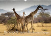 Buchcover Serengeti - auf den Spuren eines Zoologen (Wandkalender 2022 DIN A3 quer)