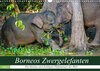 Buchcover Borneos Zwergelefanten (Wandkalender 2022 DIN A3 quer)