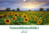 Buchcover Sonnenblumenfelder (Wandkalender 2022 DIN A3 quer)