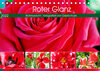 Buchcover Roter Glanz Blütenpracht (Tischkalender 2022 DIN A5 quer)