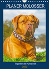 Buchcover Planer Molosser - Giganten der Hundewelt (Wandkalender 2022 DIN A4 hoch)