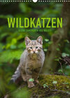Buchcover Wildkatzen - Kleine Samtpfoten des Waldes (Wandkalender 2022 DIN A3 hoch)