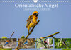 Buchcover Orientalische Vögel - Thailands bunte Vogelwelt (Wandkalender 2022 DIN A4 quer)