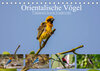 Buchcover Orientalische Vögel - Thailands bunte Vogelwelt (Tischkalender 2022 DIN A5 quer)