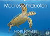 Buchcover In der Schwebe: Meeresschildkröten (Wandkalender 2022 DIN A2 quer)