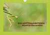 Buchcover Die Gottesanbeterin Mantis Religiosa (Wandkalender 2022 DIN A4 quer)