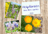 Buchcover Heilpflanzen aus dem Garten (Wandkalender 2022 DIN A3 quer)