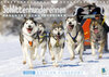 Buchcover Schlittenhunderennen: Rasantes Schneetreiben - Edition Funsport (Wandkalender 2022 DIN A4 quer)