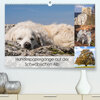 Buchcover Hundespaziergänge auf der Schwäbischen Alb (Premium, hochwertiger DIN A2 Wandkalender 2022, Kunstdruck in Hochglanz)