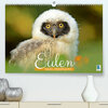 Buchcover Eulen: Vogel-Perspektive (Premium, hochwertiger DIN A2 Wandkalender 2022, Kunstdruck in Hochglanz)