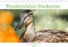 Buchcover Wunderschöne Stockenten - Europäische Wasservögel (Wandkalender 2022 DIN A4 quer)