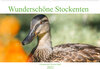 Buchcover Wunderschöne Stockenten - Europäische Wasservögel (Wandkalender 2022 DIN A2 quer)