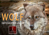 Buchcover Wolf - Imposanter Jäger (Wandkalender 2022 DIN A2 quer)
