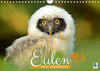Buchcover Eulen: Vogel-Perspektive (Wandkalender 2022 DIN A4 quer)