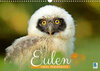 Buchcover Eulen: Vogel-Perspektive (Wandkalender 2022 DIN A3 quer)