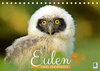 Buchcover Eulen: Vogel-Perspektive (Tischkalender 2022 DIN A5 quer)