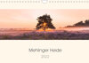 Buchcover Mehlinger Heide (Wandkalender 2022 DIN A4 quer)