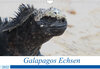 Buchcover Galapagos Echsen (Wandkalender 2022 DIN A4 quer)