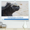Buchcover Galapagos Echsen (Premium, hochwertiger DIN A2 Wandkalender 2022, Kunstdruck in Hochglanz)
