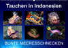 Buchcover Tauchen in Indonesien - BUNTE MEERESSCHNECKEN (Wandkalender 2022 DIN A2 quer)