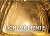 Buchcover Lichtmomente - Fotografien, die in einem besonderen Licht erstrahlen. (Wandkalender 2022 DIN A3 quer)