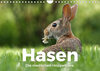 Buchcover Hasen - Die niedlichen Hoppeltiere. (Wandkalender 2022 DIN A4 quer)