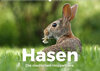 Buchcover Hasen - Die niedlichen Hoppeltiere. (Wandkalender 2022 DIN A2 quer)