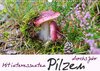 Buchcover Mit interessanten Pilzen durchs Jahr (Wandkalender 2022 DIN A3 quer)